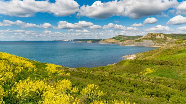 Worth Matravers, Jurassic Coast, Dorset, İngiltere yakınlarındaki Jurassic Coast manzarası