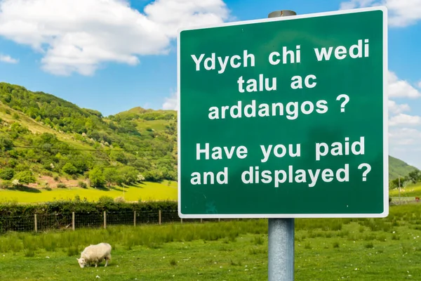 Sign Jste Zaplatili Zobrazili Welsh English Ovcemi Pozadí Vidět Dolgoch — Stock fotografie