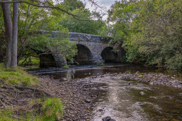 Derwent Nehri Üzerindeki Taş Köprü Baybridge Durham County Ngiltere — Stok fotoğraf