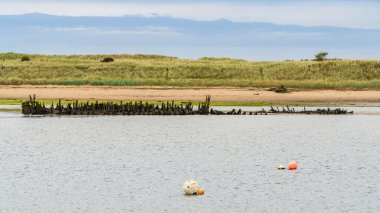 Amble, Northumberland, İngiltere 'deki Coquet Nehri kıyısında eski bir batık.