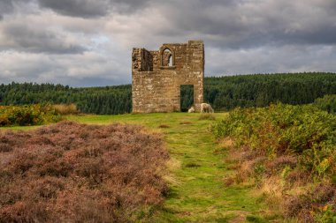 Kuzey York Moors arazisi, Skelton Kulesi 'ne bakıyor, Levisham Moor' dan, Kuzey Yorkshire, İngiltere, İngiltere