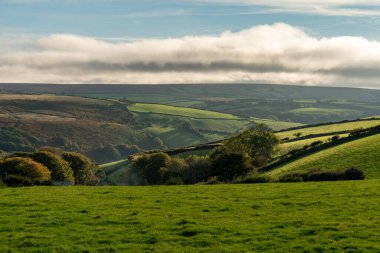 Malmsmead yakınlarındaki Exmoor Ulusal Parkı 'nda manzara, Devon, İngiltere, İngiltere