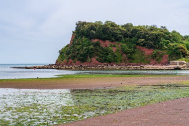 Shaldon 'daki Ness, İngiltere Devon' daki Teignmouth 'tan görüldü.