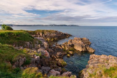 Elberry Cove, Torbay, İngiltere 'den Torquay' in arka planda görüntüsü