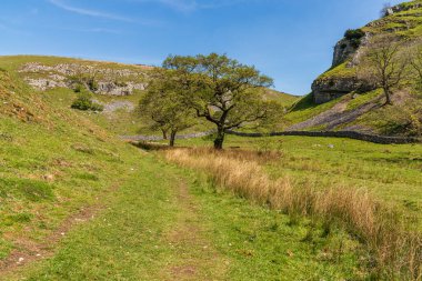 Aşağı Rıhtımdaki Yorkshire Dales manzarası Skyreholme, Kuzey Yorkshire, İngiltere yakınlarındaki