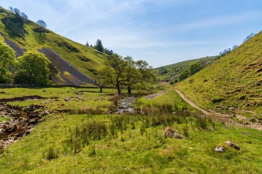 Aşağı Rıhtımdaki Yorkshire Dales manzarası Skyreholme, Kuzey Yorkshire, İngiltere yakınlarındaki