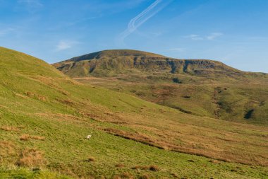 Birkdale ile Nateby, İngiltere arasındaki B6270 yolundan Cumbrian manzarası görülüyor.