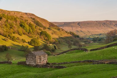 Keld ve Thwaite, Kuzey Yorkshire, İngiltere, İngiltere arasındaki tarlalarda taş ahır ile Swaledale manzarası