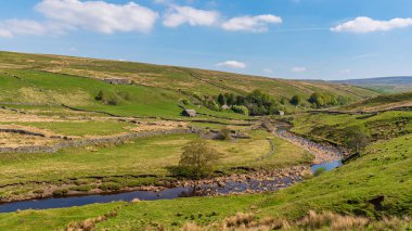 Birkdale ve Keld arasındaki Swale Nehri ile Yorkshire Dales manzarası, Kuzey Yorkshire, İngiltere, İngiltere