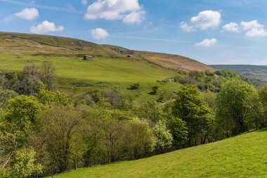 Swaledale 'de Keld ve Kisdon Force arasındaki manzara, Kuzey Yorkshire, İngiltere, İngiltere