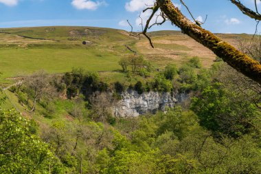Swaledale 'de Keld ve Kisdon Force arasındaki manzara, Kuzey Yorkshire, İngiltere, İngiltere
