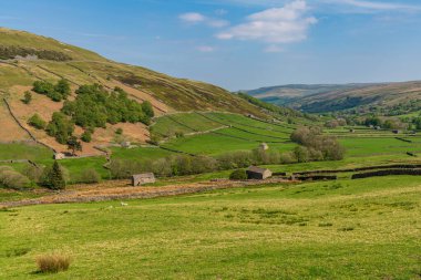 Keld ve Thwaite arasındaki Swaledale manzarası, Kuzey Yorkshire, İngiltere, İngiltere