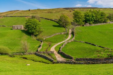Keld, North Yorkshire, İngiltere yakınlarındaki tarlalarda taştan ahırlar bulunan Swaledale manzarası