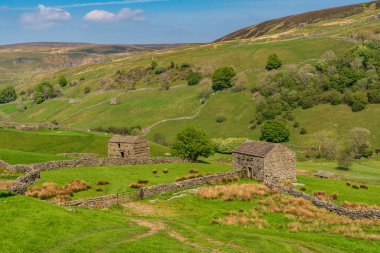 Keld ve Thwaite arasındaki Swaledale manzarası, Kuzey Yorkshire, İngiltere, İngiltere