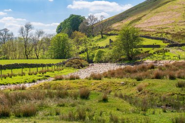 Low Haygarth, Cumbria, İngiltere yakınlarındaki Rawthey Nehri ile Yorkshire Dales Peyzajı