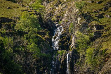 Low Haygarth yakınlarındaki Howgill Şelalesi 'nde Cautley Spout Şelalesi, Yorkshire Dales Ulusal Parkı, Cumbria, İngiltere, İngiltere