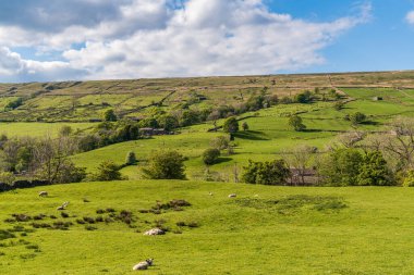 Cowgill, Cumbria, İngiltere yakınlarındaki Dent Dale 'de Yorkshire Dales manzarası