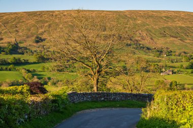 Gawthrop, Cumbria, İngiltere yakınlarındaki Dent Dale 'de Yorkshire Dales manzarası