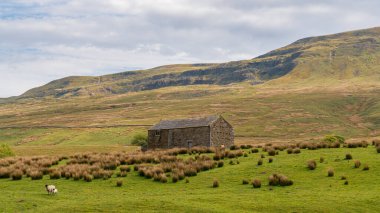 Cumbria Eden Bölgesi 'nde manzara, B6259 yolunda Outhgill ve Aisgill, İngiltere, İngiltere arasında görüldü.