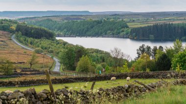 Thruscross Reservoir, Kuzey Yorkshire, İngiltere