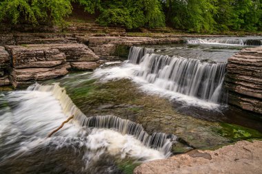 Aysgarth Şelaleleri, Kuzey Yorkshire, İngiltere, İngiltere