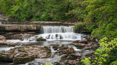 Yore Köprüsü 'nden Aysgarth Şelalesi ve Ure Nehri manzarası, Kuzey Yorkshire, İngiltere