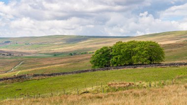Oughtershaw, North Yorkshire, İngiltere yakınlarındaki Yorkshire Dales 'de bulutlu bir gün.