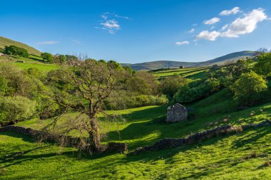 Gayle, North Yorkshire, İngiltere yakınlarındaki Yorkshire Dales 'de eski bir taş ahır.
