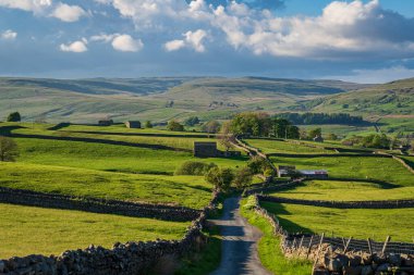 Kuzey Yorkshire, İngiltere yakınlarındaki Yukarı Wensleydale kırsal yolunda.