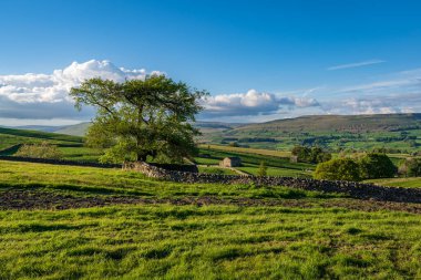 Gayle, North Yorkshire, İngiltere yakınlarındaki Yukarı Wensleydale 'de manzara