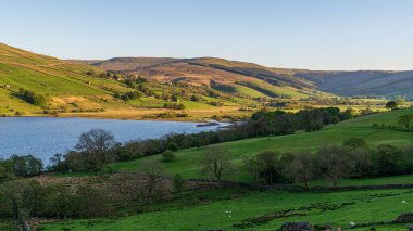 Countersett, North Yorkshire, İngiltere 'deki Semer Suyu.