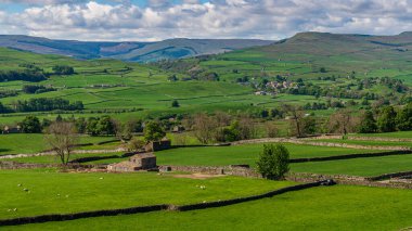 Askrigg, North Yorkshire, İngiltere yakınlarındaki Yukarı Wensleydale 'de Yorkshire Dales manzarası
