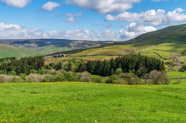 Gunnerside, North Yorkshire, İngiltere yakınlarındaki Swaledale 'de Yorkshire Dales manzarası