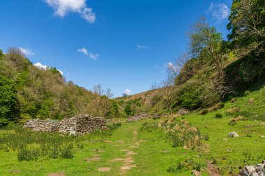 Gunnerside Gill 'deki Yorkshire Dales manzarası, Kuzey Yorkshire, İngiltere, İngiltere