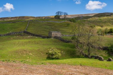 Gunnerside Beck yakınlarında taştan bir ahır, Kuzey Yorkshire, İngiltere, İngiltere