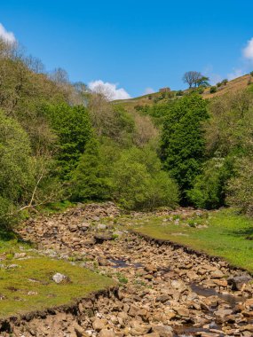Gunnerside Beck, North Yorkshire, İngiltere, İngiltere ile Yorkshire Dales manzarası
