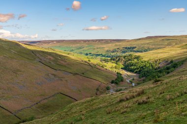 Gunnerside Gill 'deki Yorkshire Dales manzarası, Kuzey Yorkshire, İngiltere, İngiltere