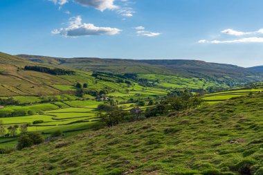 Gunnerside, North Yorkshire, İngiltere yakınlarındaki Yorkshire Dales arazisi.
