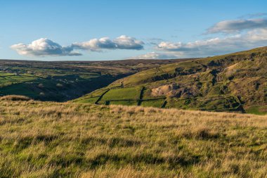 Langthwaite ve Reeth arasındaki Arkengarthdale manzarası, Kuzey Yorkshire, İngiltere, İngiltere
