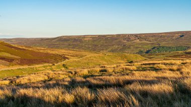 Langthwaite ve Feetham arasındaki Yorkshire Dales manzarası, Kuzey Yorkshire, İngiltere, İngiltere