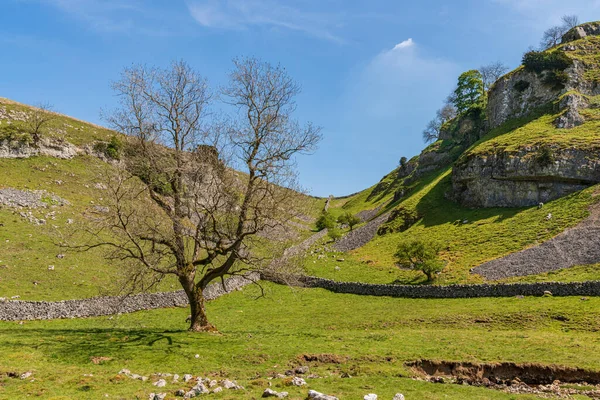 Yorkshire Dales Landscape Lower Wharfedale Skyreholme North Yorkshire England — Stock Photo, Image