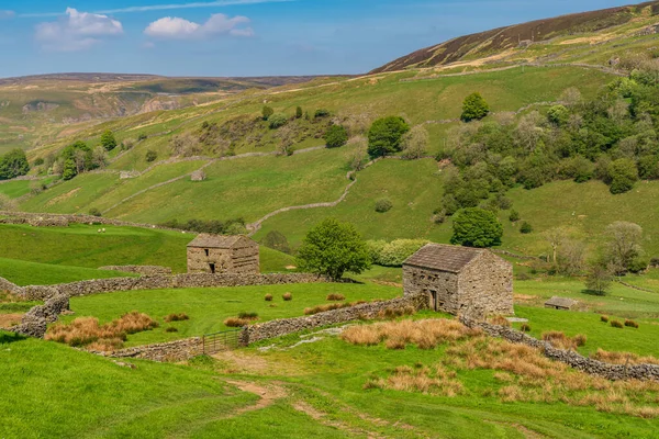Keld ve Thwaite arasındaki Swaledale manzarası, Kuzey Yorkshire, İngiltere, İngiltere