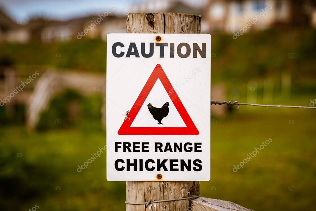 Sign: Caution, free range chickens, seen in St Bees, Cumbria, England, UK