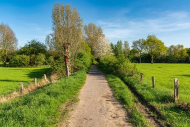 Rheinaue Friemersheim Duisburg, Ruhr Alanı, Kuzey Ren-Vestfalya, Almanya