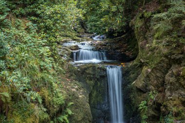Geroldsauer Şelalesi, Almanya 'da Malschbach, Baden-Wuerttemberg yakınlarındaki Kara Orman' ın kuzey kesiminde.