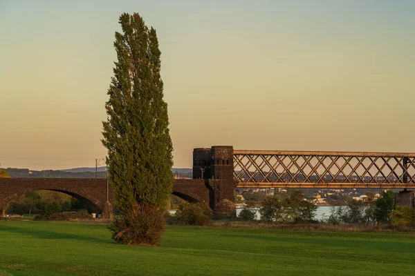 Vista Desde Engers Puente Ferroviario Urmitz Renania Palatinado Alemania —  Fotos de Stock