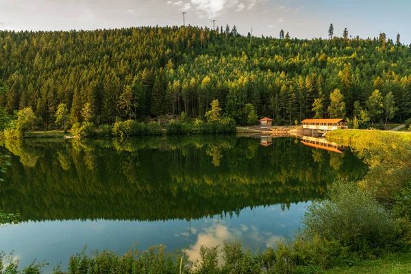 Most Přes Nagoldtalsperre Nádrž Nagold Černém Lese Freudenstadtu Bádensko Wuerttembersko Stock Obrázky