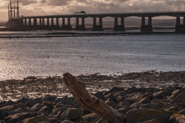 Akşam ışığında sürüklenen bir odun parçası, arka planda The Prince of Wales Köprüsü, Severn Beach, Güney Gloucestershire, İngiltere, İngiltere