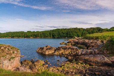 Broadsand ve Elberry Cove arasındaki sahil ve uçurum, Torbay, İngiltere, İngiltere