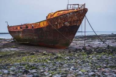 Walney Kanalı 'nın çamurunda paslı bir gemi enkazı, Roa Adası, Cumbria, İngiltere, İngiltere' ye giden yoldan görülüyor.